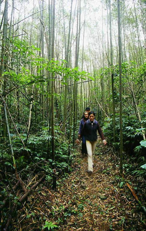 Bali B&B Hengshan Ngoại thất bức ảnh